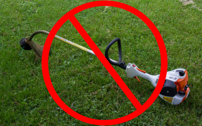 Alternative-to-String-Trimmer.png