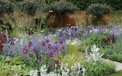 Comment créer un massif de fleurs moderne dans votre jardin ?