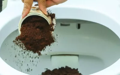 Marc de café dans les toilettes : est-ce une bonne idée pour vos canalisations ?