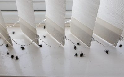 taches-de-mouche-au-plafond-comment-les-eliminer-efficacement